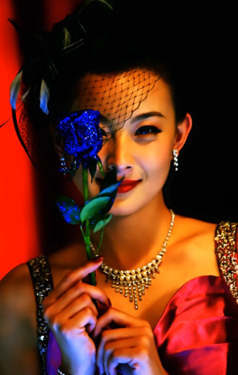 朱研 高清写真/照片下载 #3247372