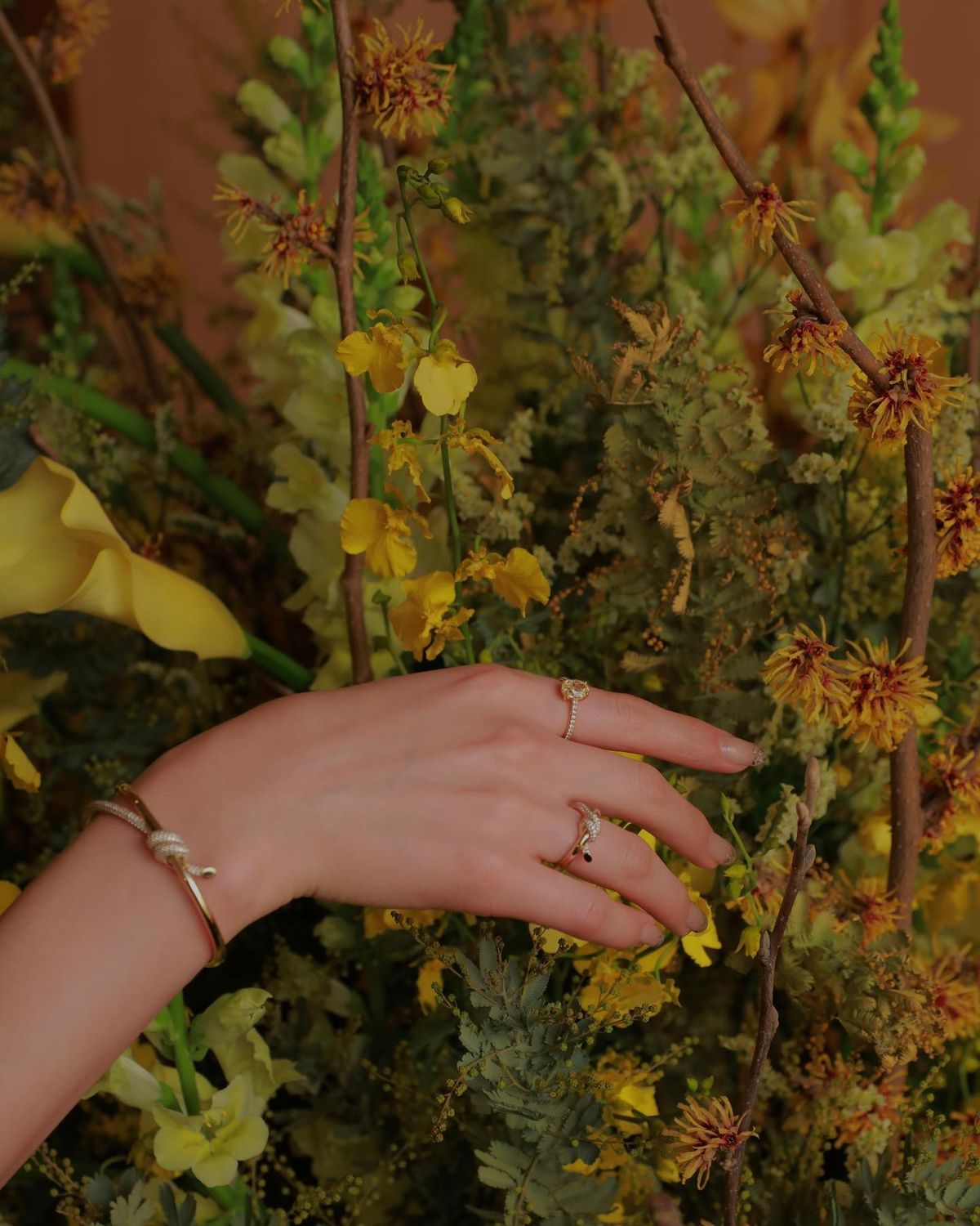 Ayaka Miyoshi HD Images/Photo Gallery Download #7485270