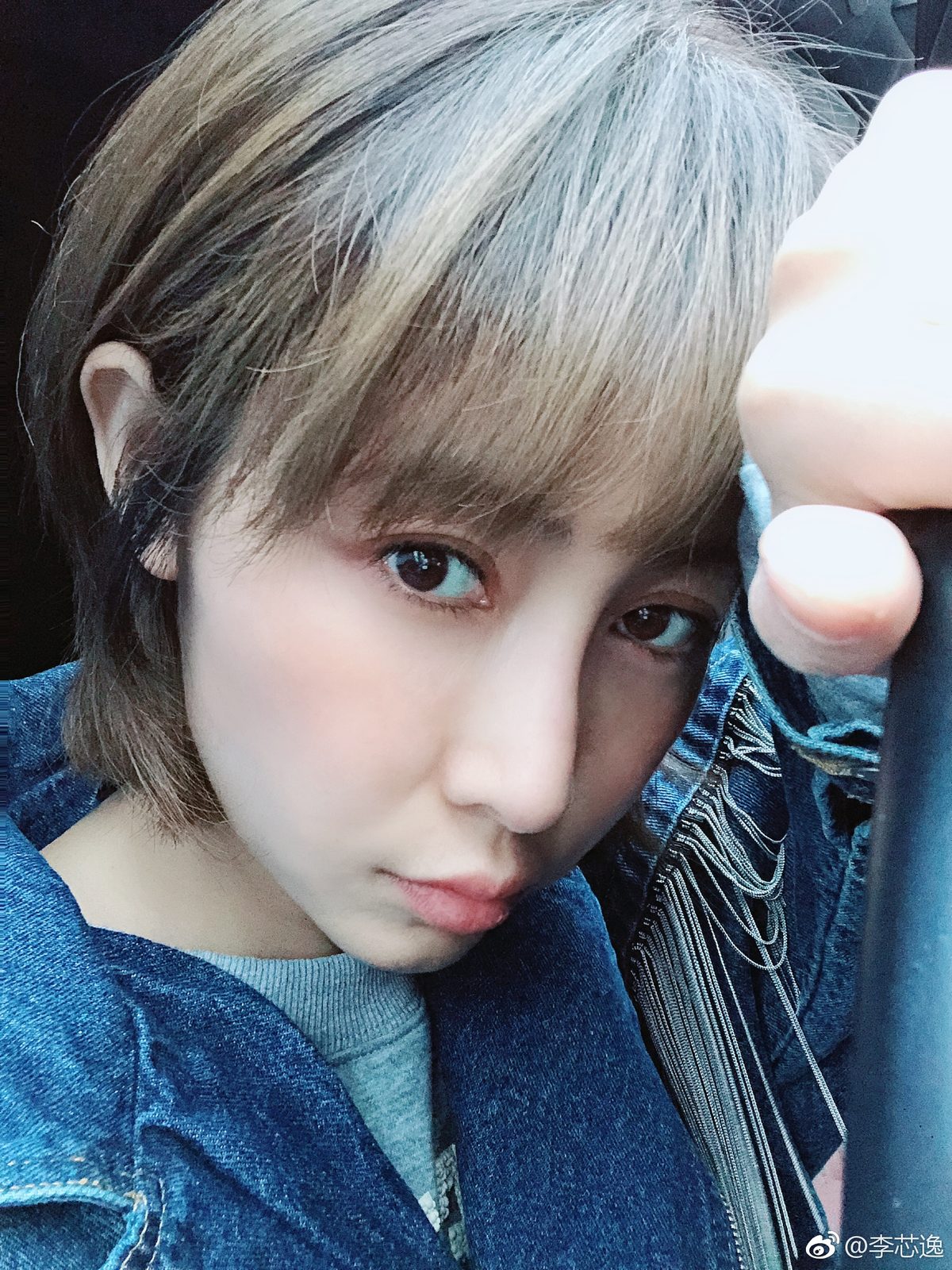 Xinyi Li HD Images/Photo Gallery Download #1980794