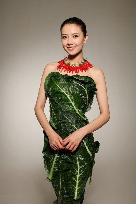 Yuanyuan Gao HD Images/Photo Gallery Download #1595247