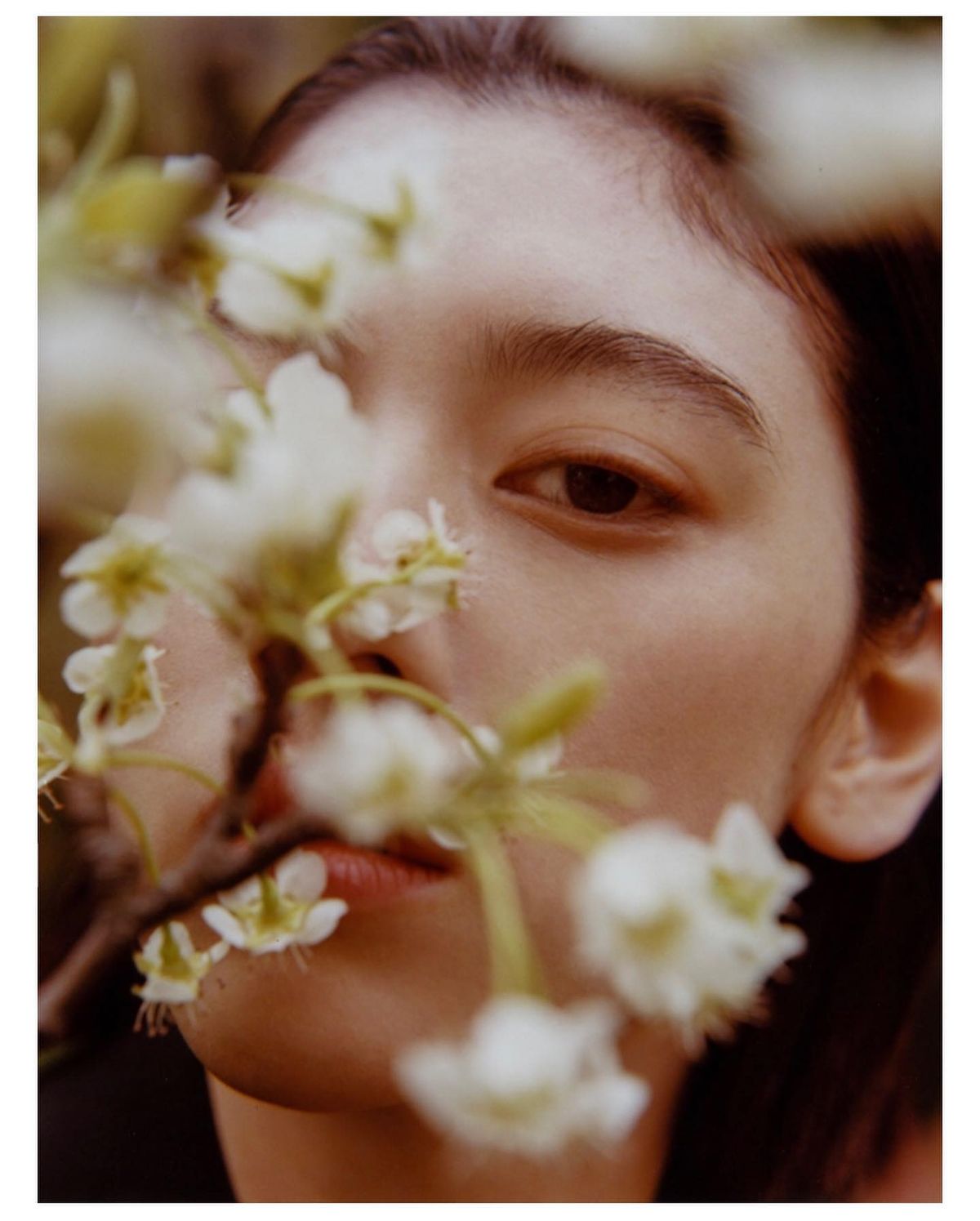 三吉彩花 高清写真/照片下载 #7489011