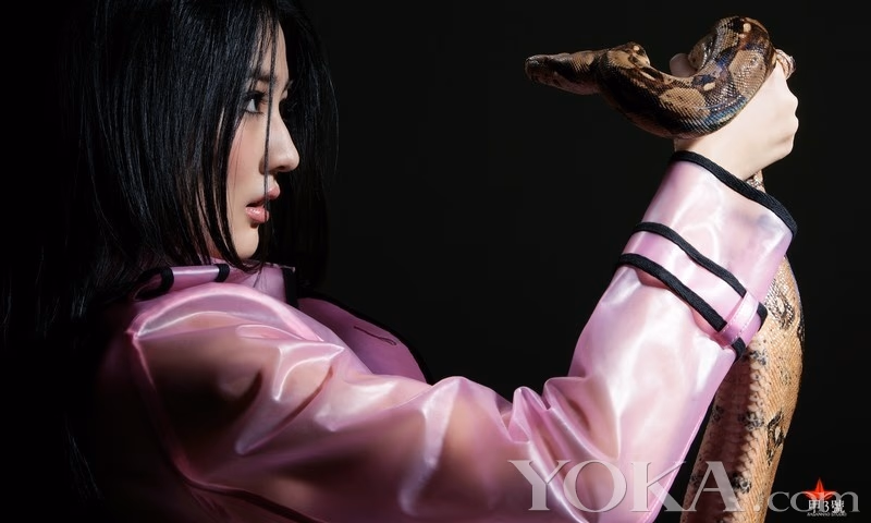 徐璐 高清写真/照片下载 #3417361