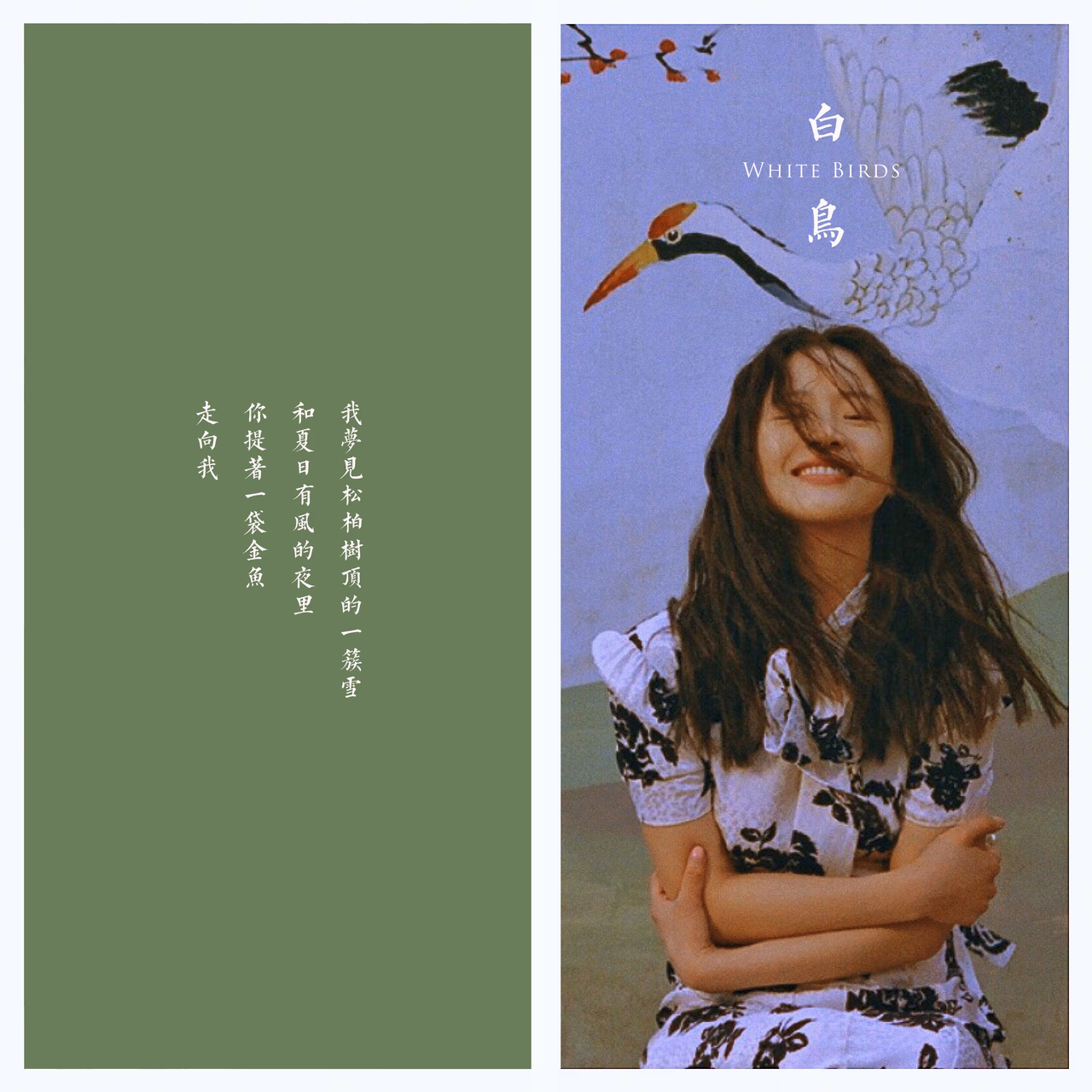 李梦 高清写真/照片下载 #3341786