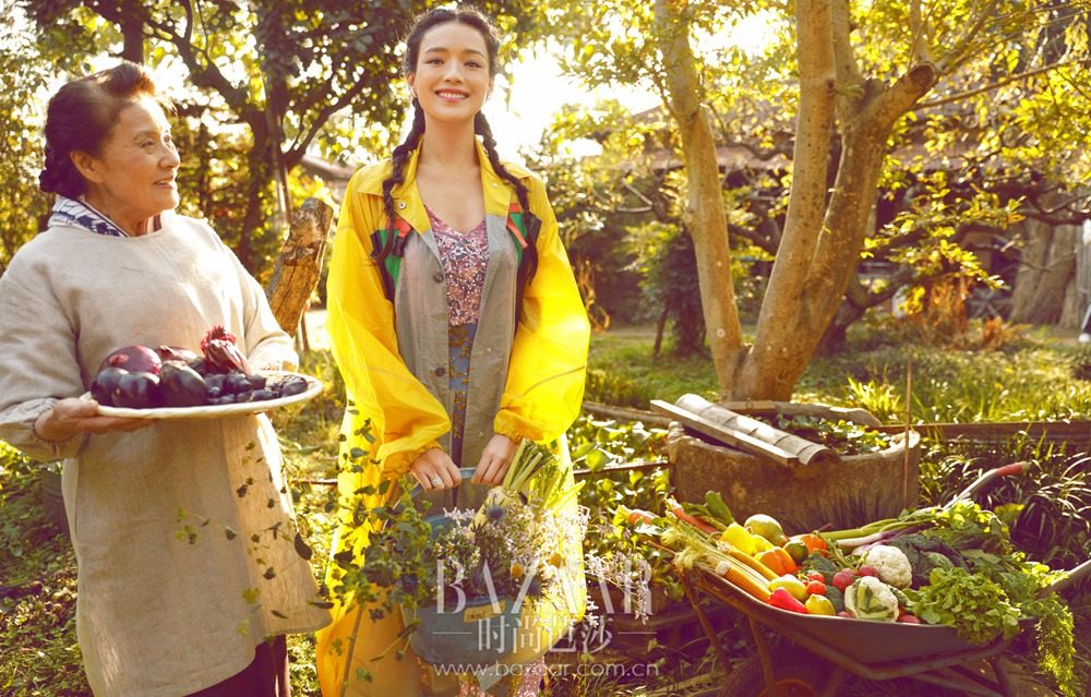 Shu Qi HD Images/Photo Gallery Download #6723071