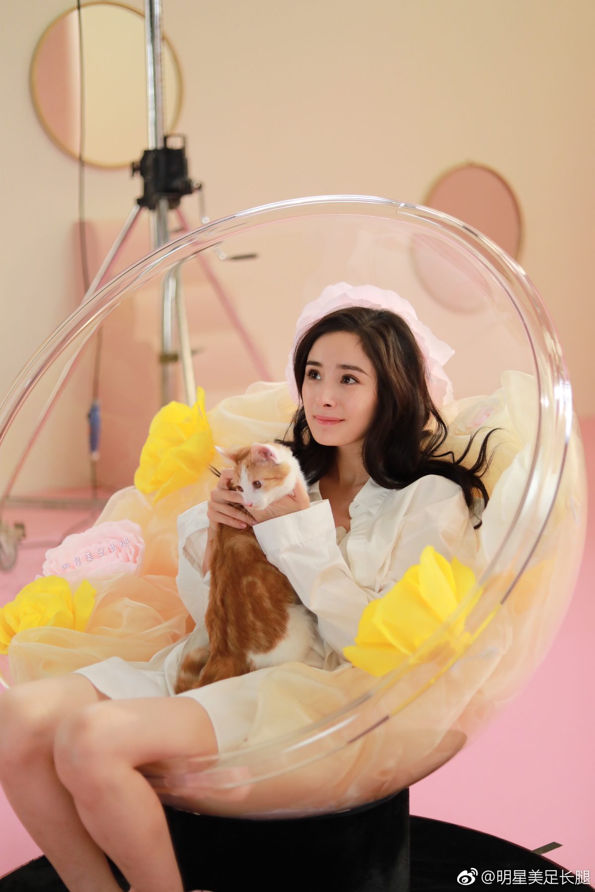 양미 HD 이미지/사진 갤러리 다운로드 #1412418