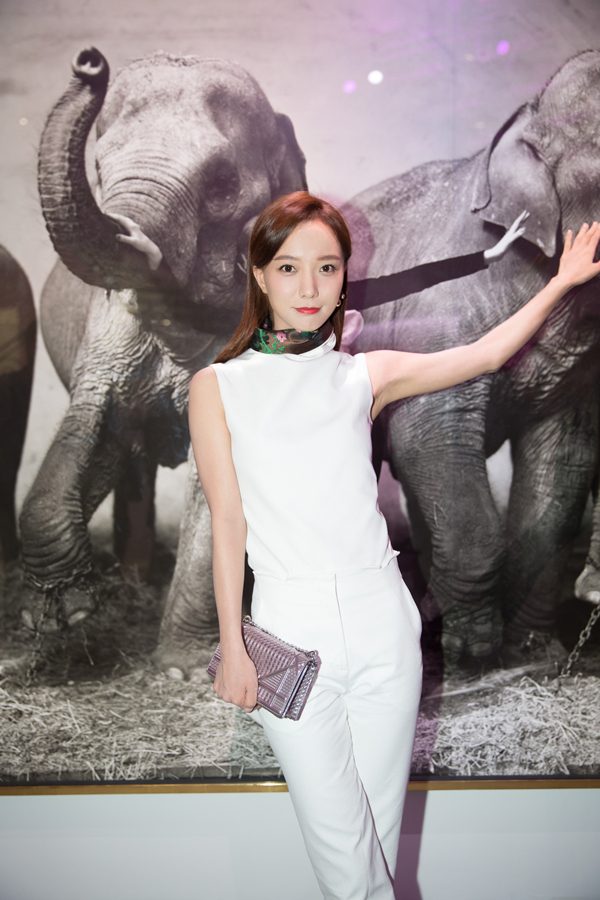 Luodan Wang HD Images/Photo Gallery Download #1954529