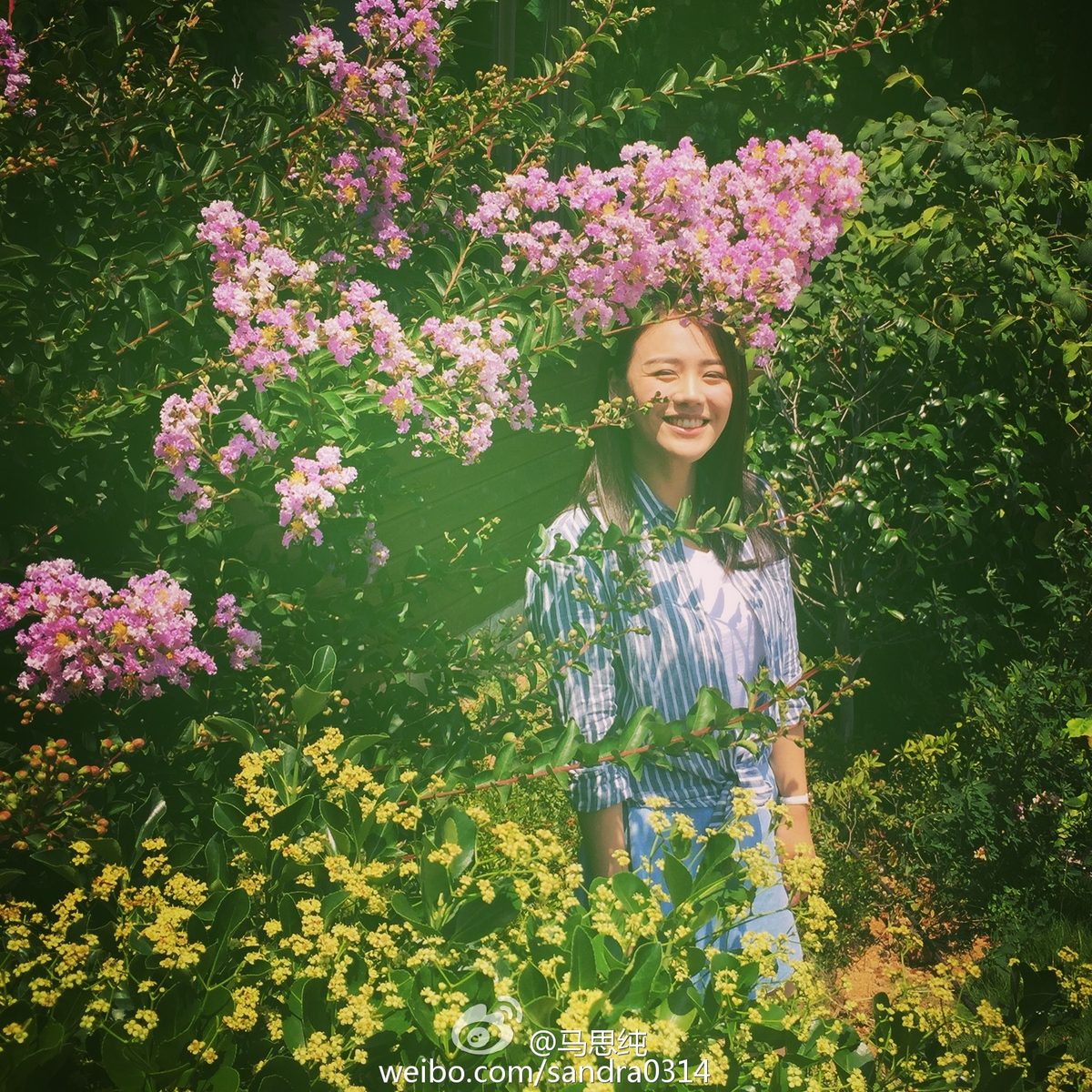 Sichun Ma HD Images/Photo Gallery Download #818921