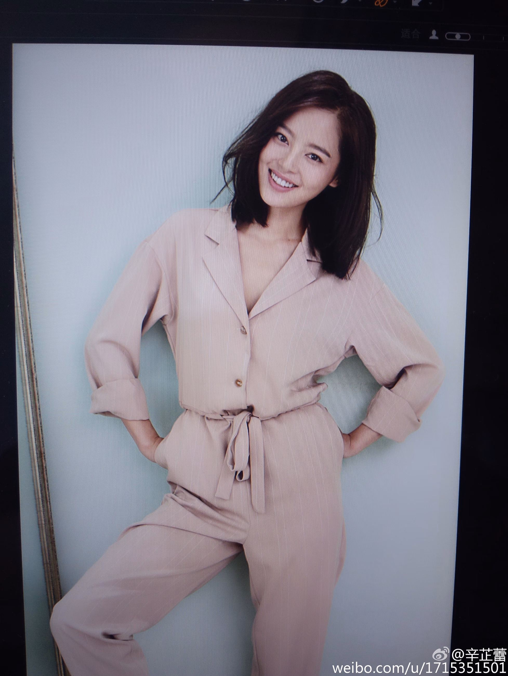 辛芷蕾 高清写真/照片下载 #3510954