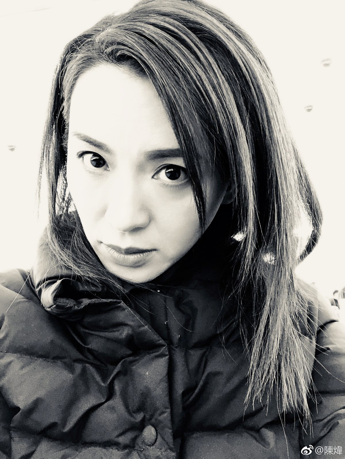 Alice Chan HD Images/Photo Gallery Download #1419292