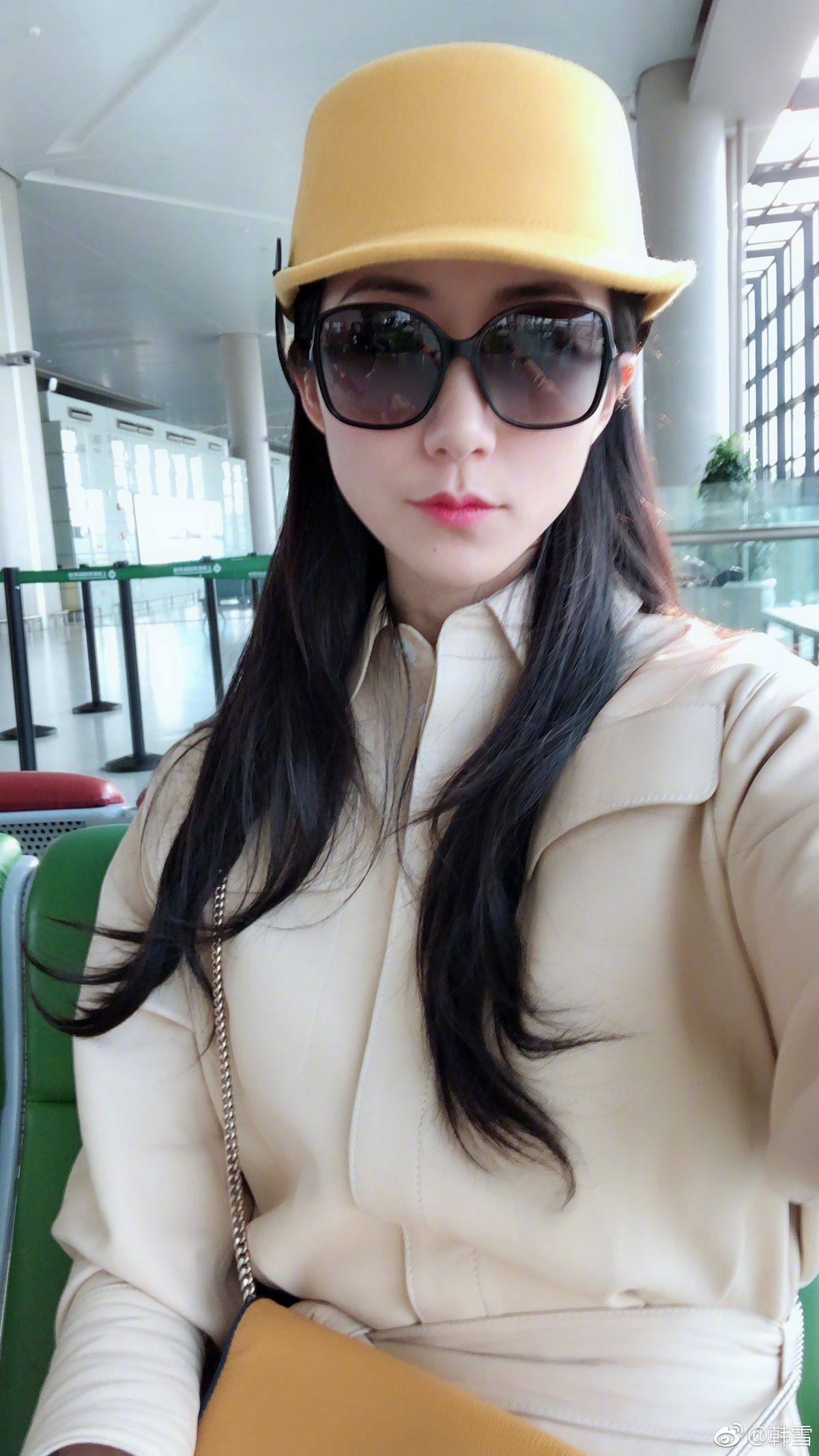 한쉐 HD 이미지/사진 갤러리 다운로드 #6656706