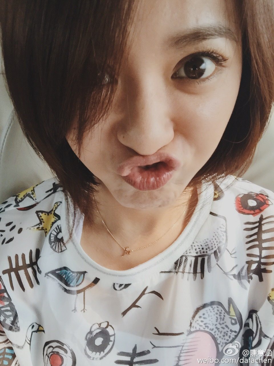 진의함 HD 이미지/사진 갤러리 다운로드 #1951167