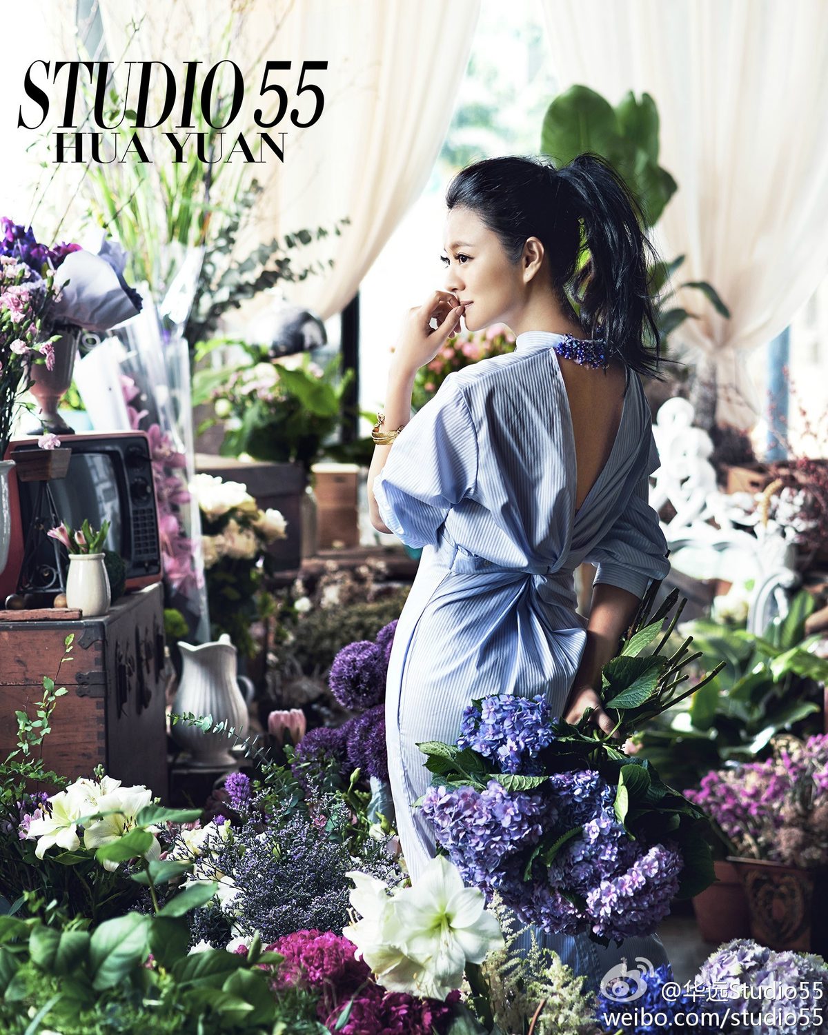 Ady An HD Images/Photo Gallery Download #819947