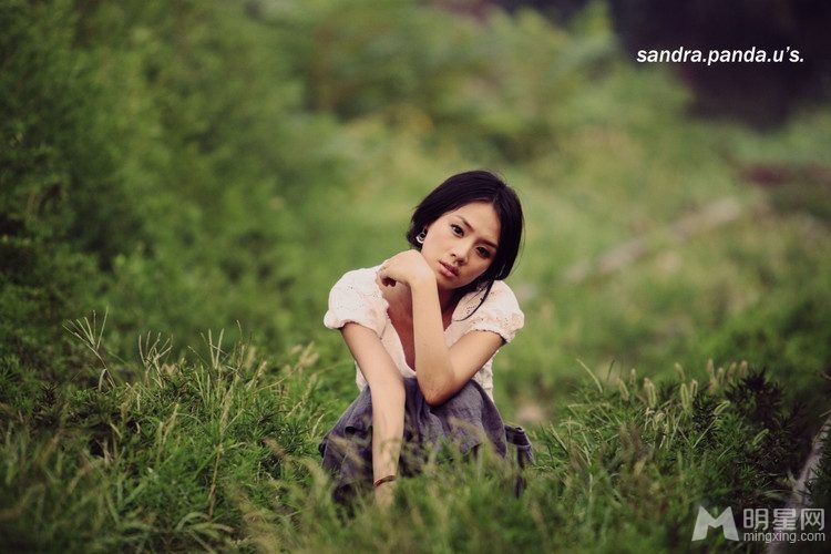 Sichun Ma HD Images/Photo Gallery Download #7047225