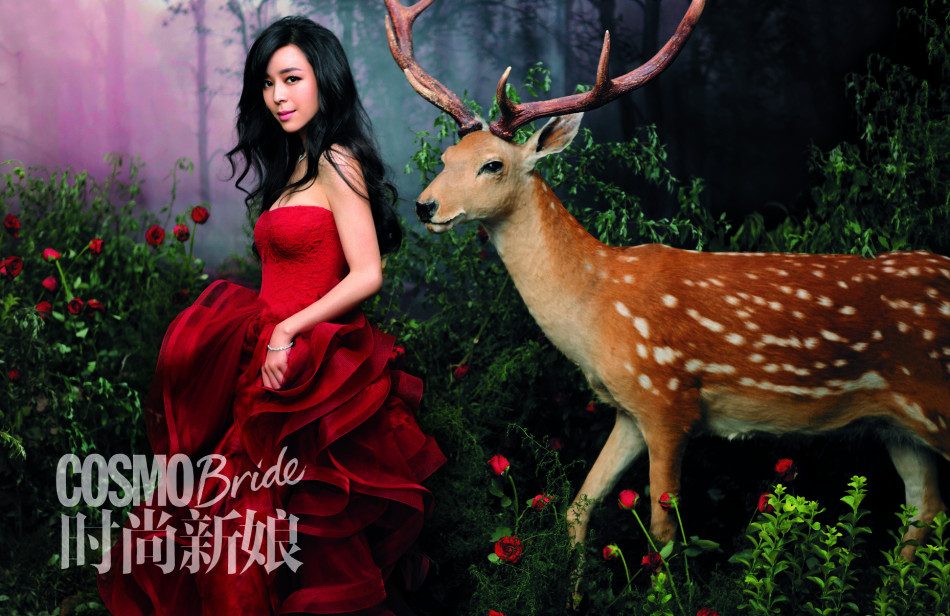 Jingchu Zhang HD Images/Photo Gallery Download #802632