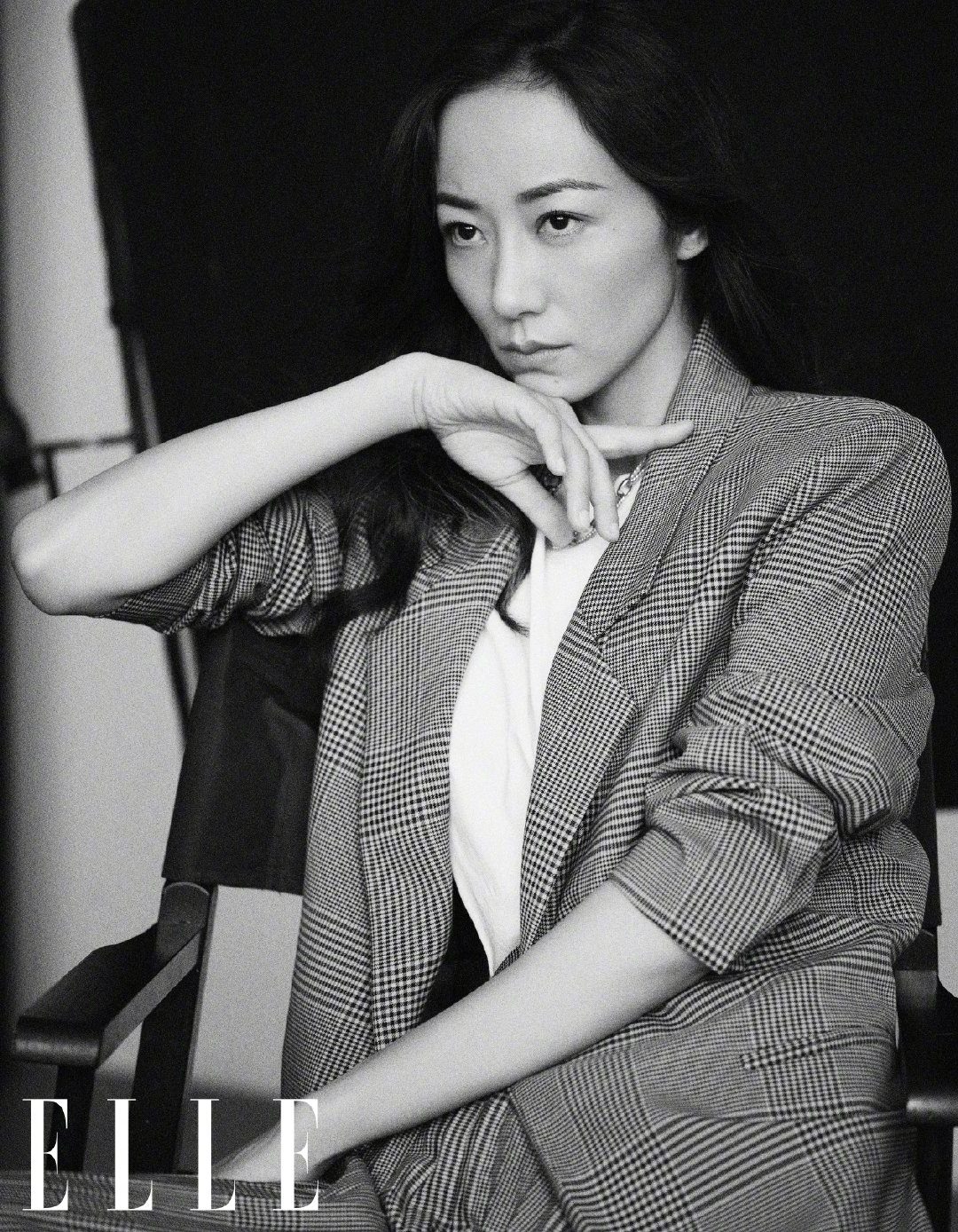 한쉐 HD 이미지/사진 갤러리 다운로드 #6346332