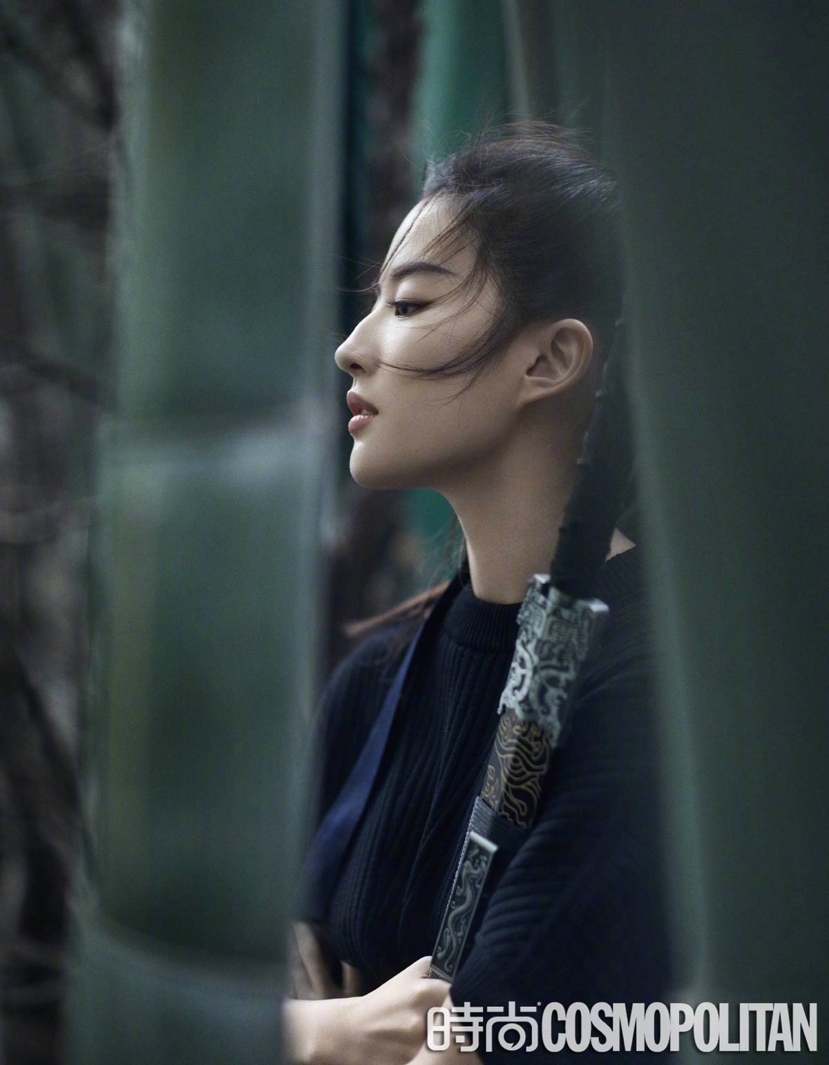 Liu Yifei HD Images/Photo Gallery Download #6668584
