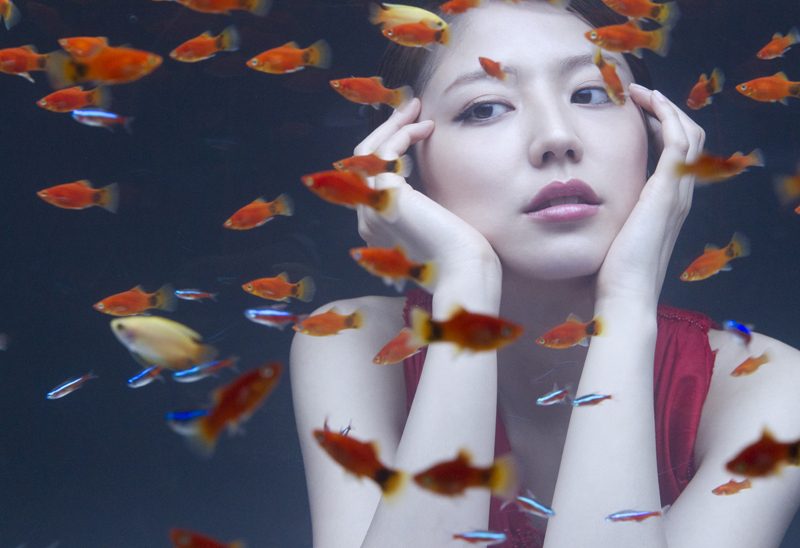 長澤まさみ HD画像/フォトギャラリーダウンロード #580263