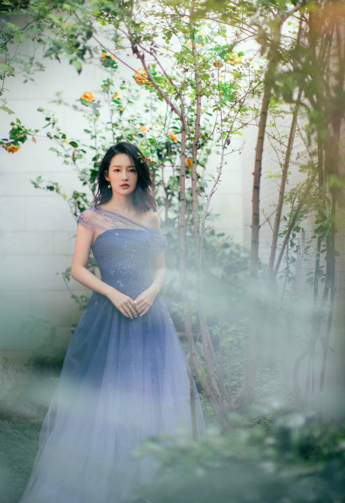 Qin Li HD Images/Photo Gallery Download #1734086