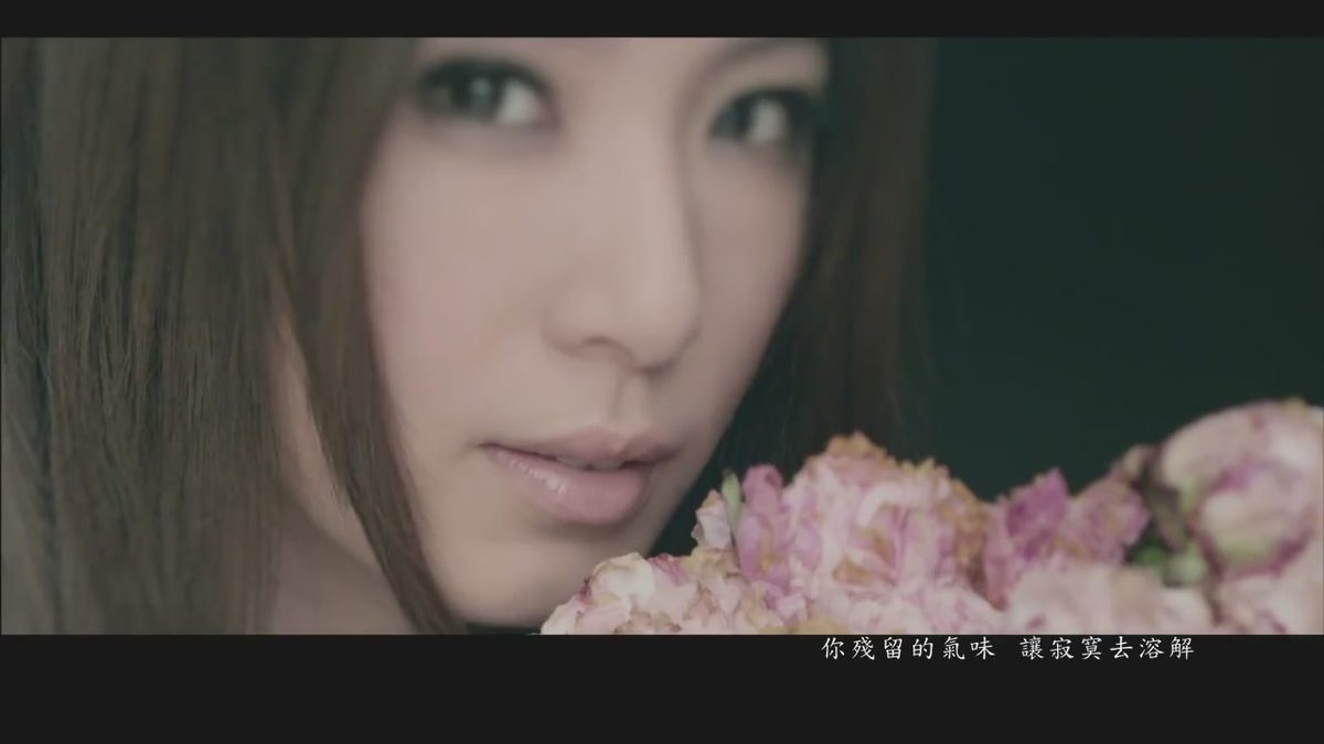 Hebe Tien HD Images/Photo Gallery Download #6971792