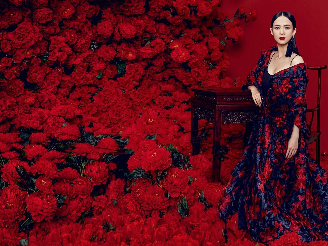 Ziyi Zhang HD Images/Photo Gallery Download #1042553