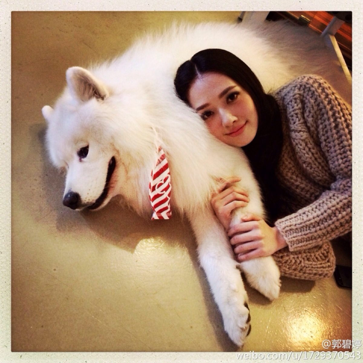 Bea Hayden Kuo HD Images/Photo Gallery Download #6731437