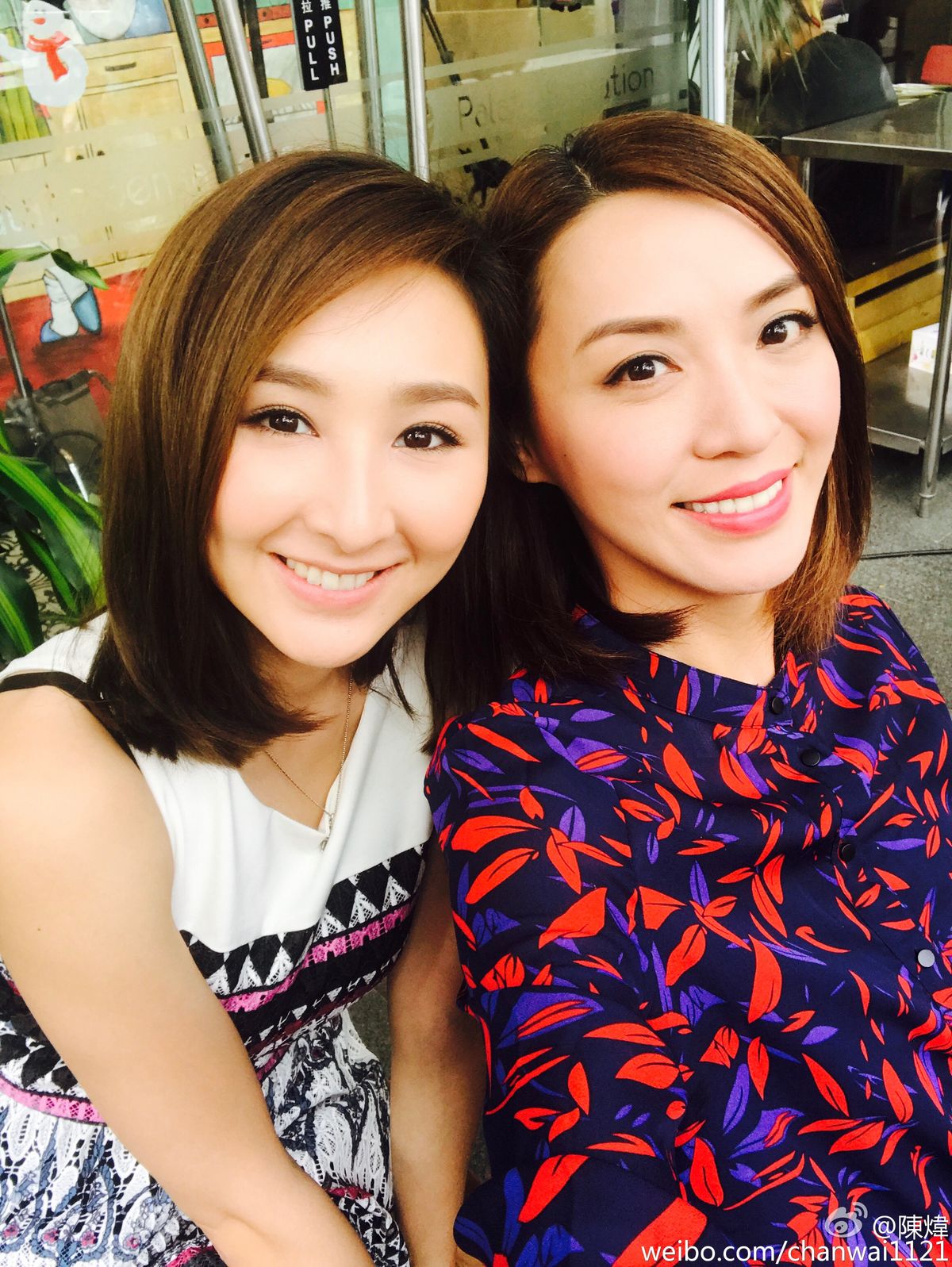 Alice Chan HD Images/Photo Gallery Download #1383233