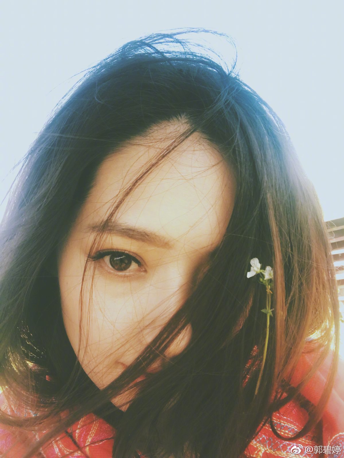 郭碧婷 高清写真/照片下载 #6732313