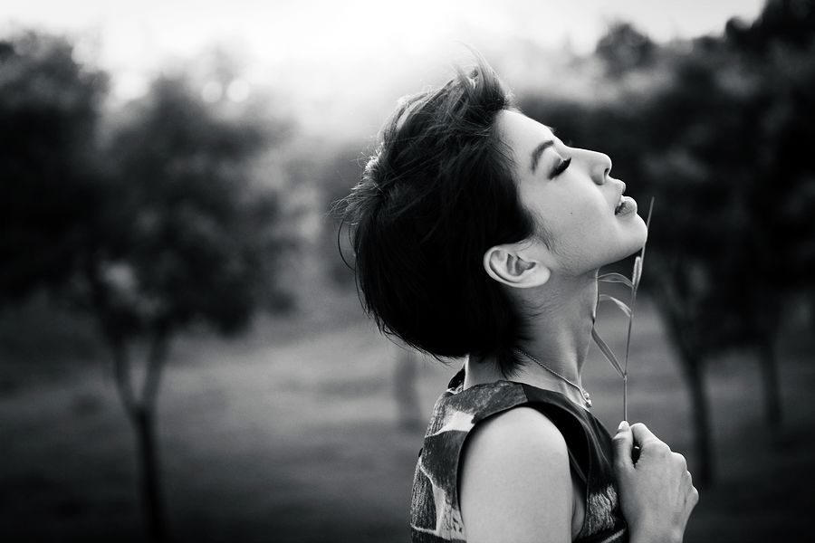 Valen Hsu HD Images/Photo Gallery Download #1252555