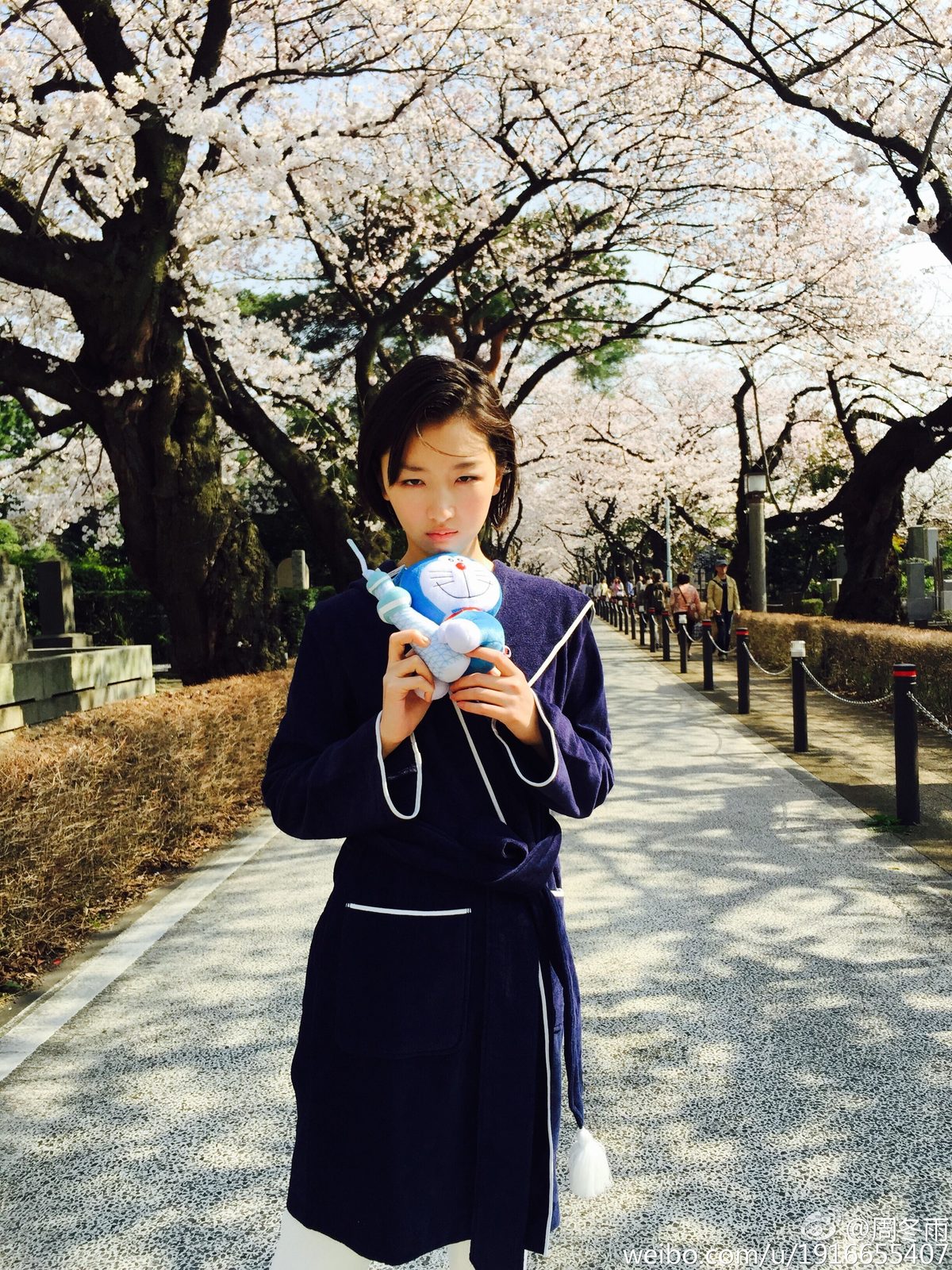周冬雨 高清写真/照片下载 #1910862