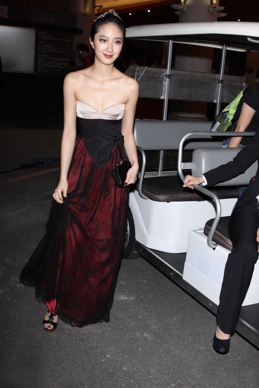Gwei Lun-Mei HD Images/Photo Gallery Download #1656317
