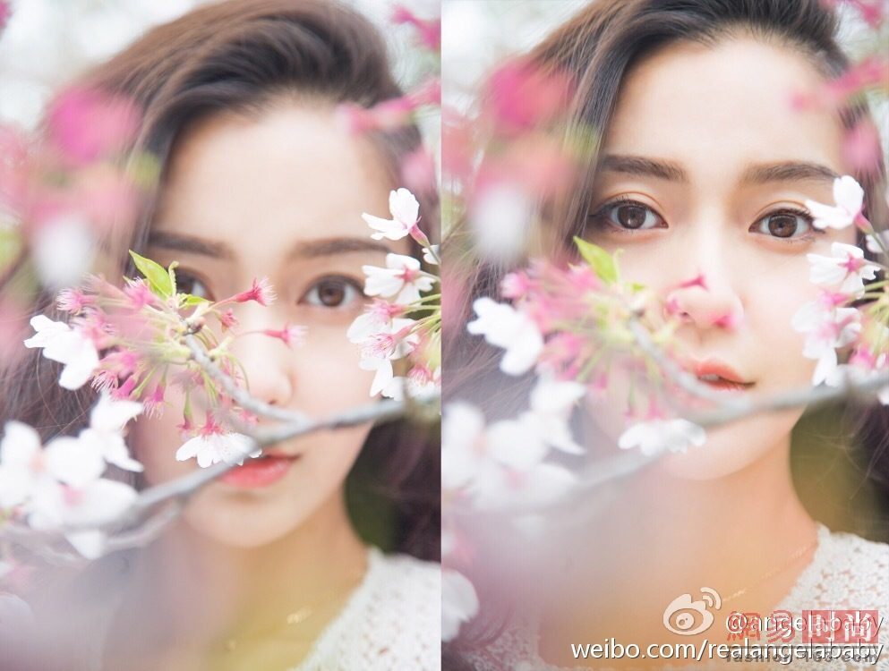 Angelababy HD Images/Photo Gallery Download #6646557