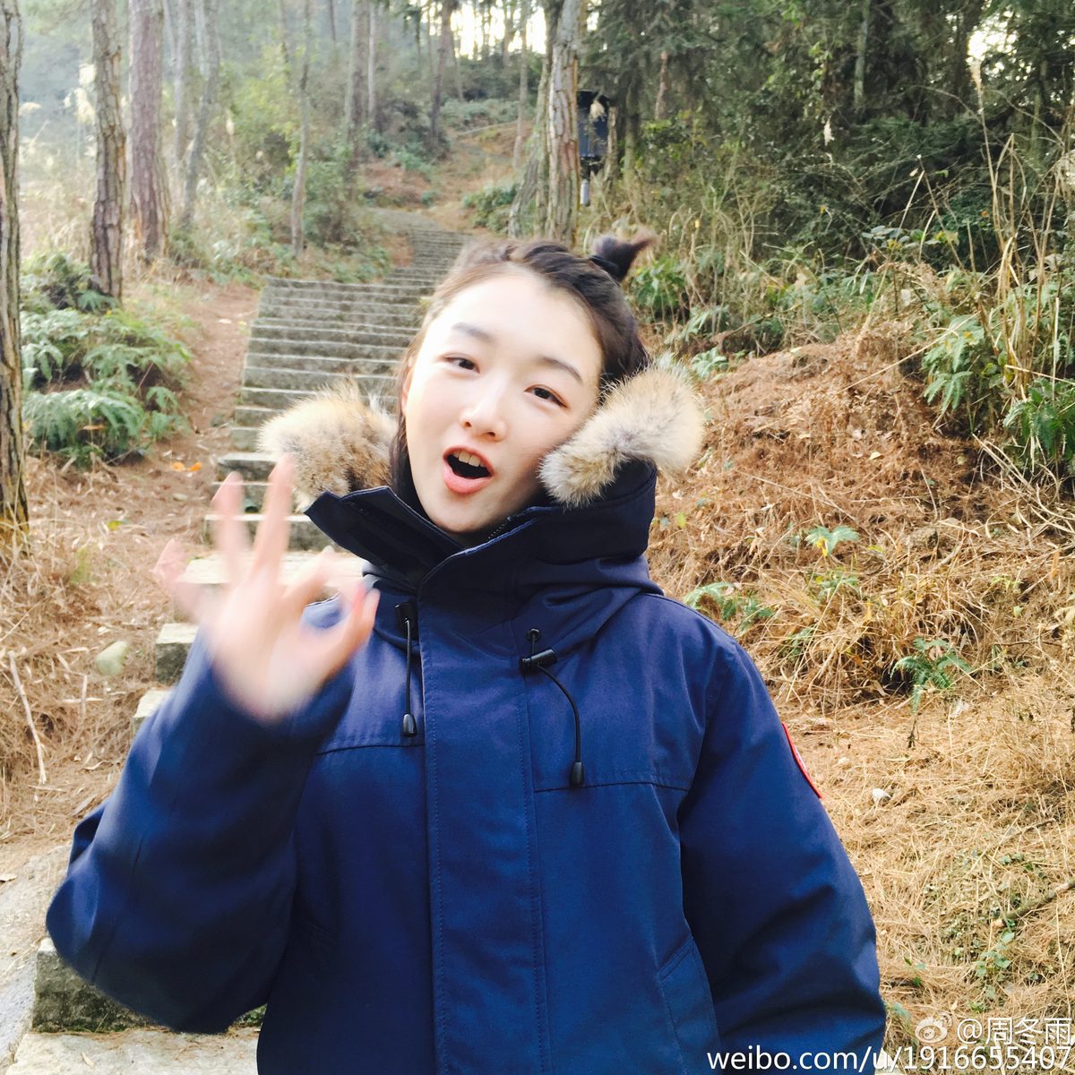 Dongyu Zhou HD Images/Photo Gallery Download #1907500