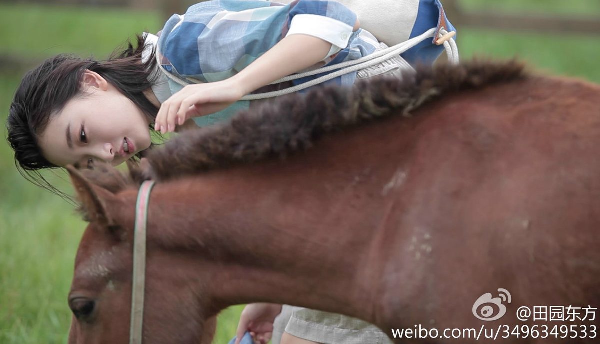 周冬雨 高清写真/照片下载 #1910365