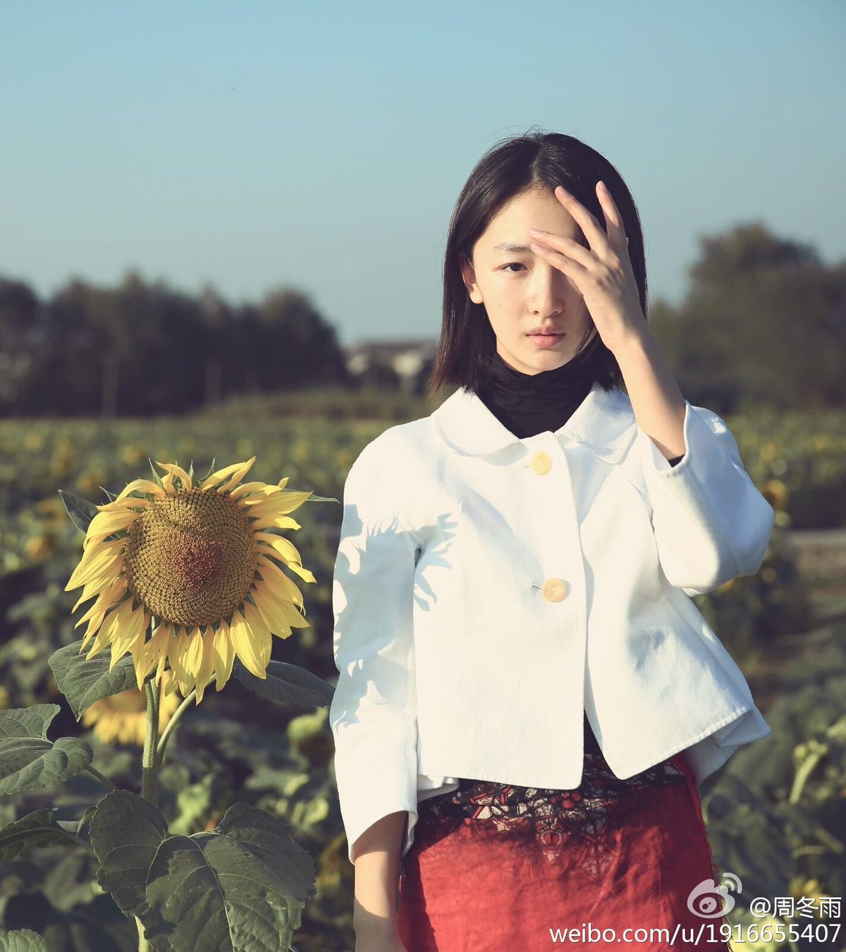 周冬雨 高清写真/照片下载 #1910949