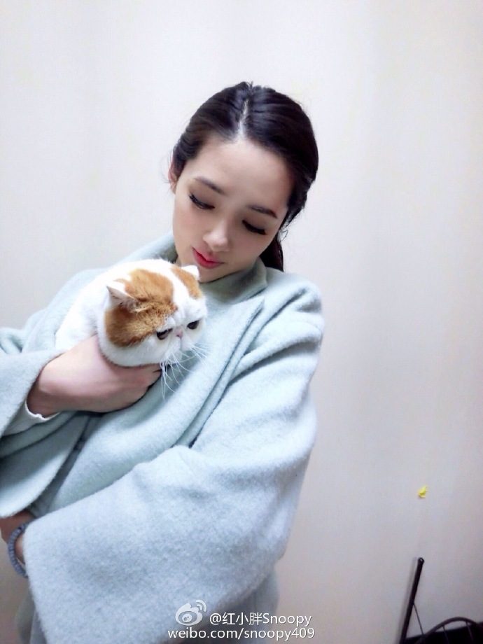 Bea Hayden Kuo HD Images/Photo Gallery Download #6731879