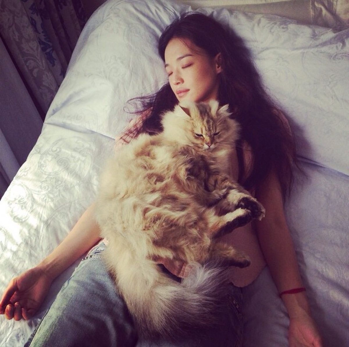 Shu Qi HD Images/Photo Gallery Download #6721935