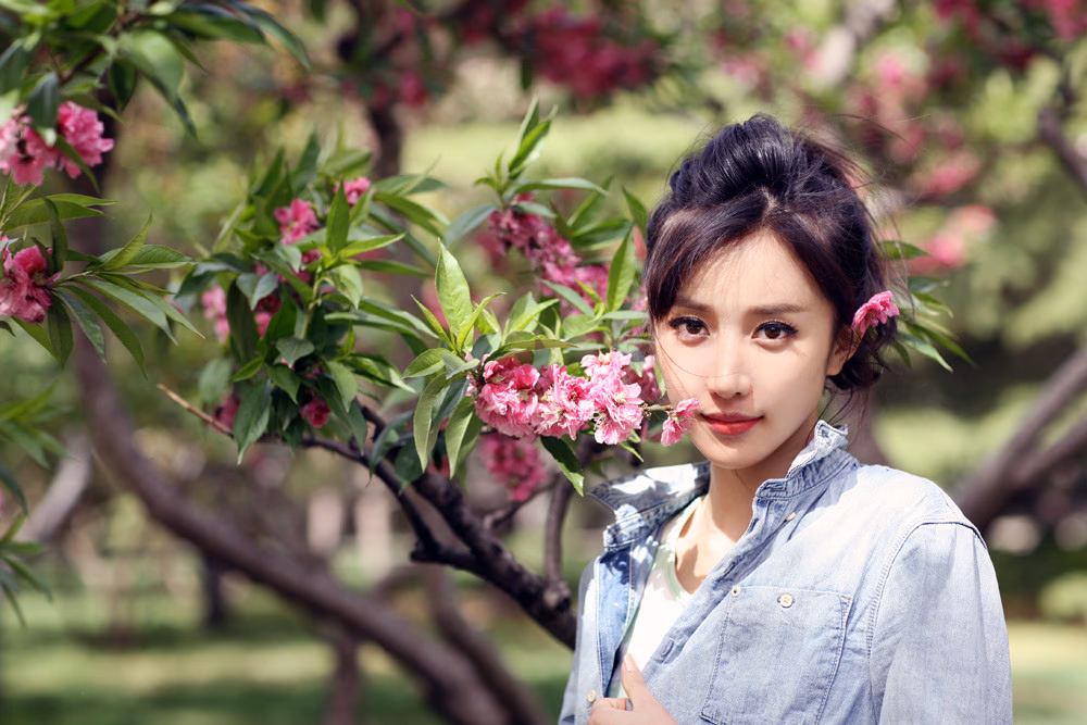 Sookie Pan HD Images/Photo Gallery Download #2132592