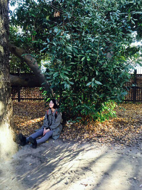 Rena Nounen HD Images/Photo Gallery Download #3507182