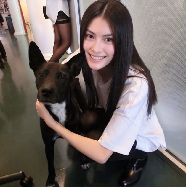 何穗 高清写真/照片下载 #3320233