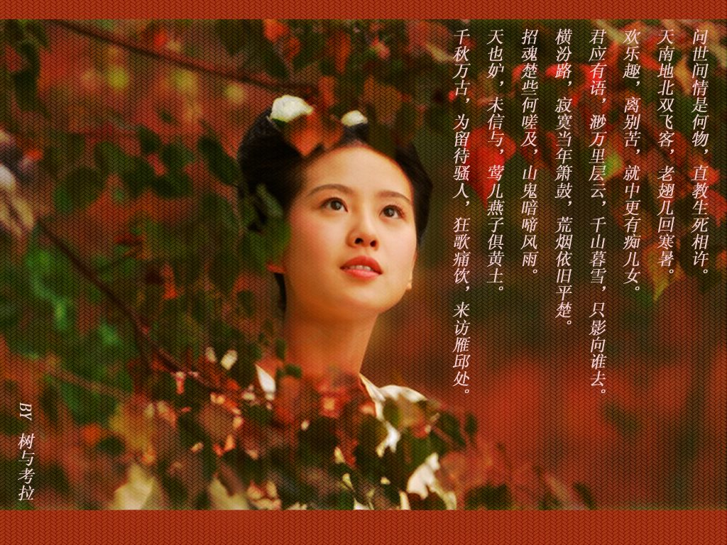 刘诗诗 高清写真/照片下载 #6794148
