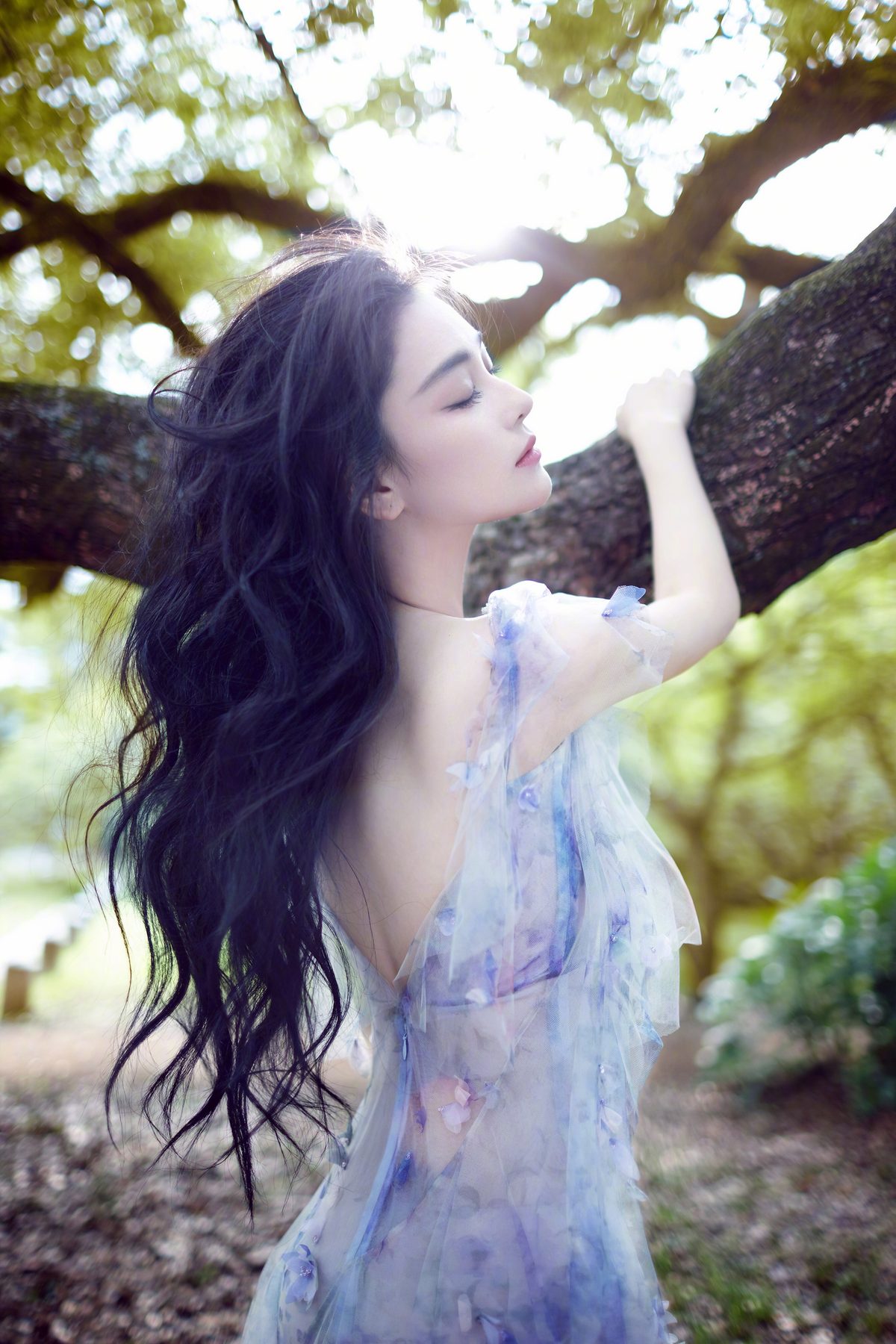 장신위 HD 이미지/사진 갤러리 다운로드 #6635778