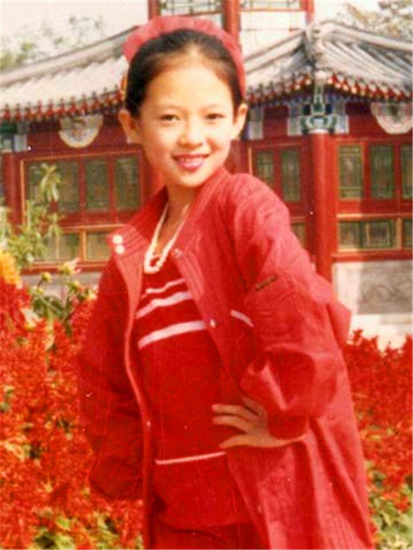 Ziyi Zhang HD Images/Photo Gallery Download #1038836
