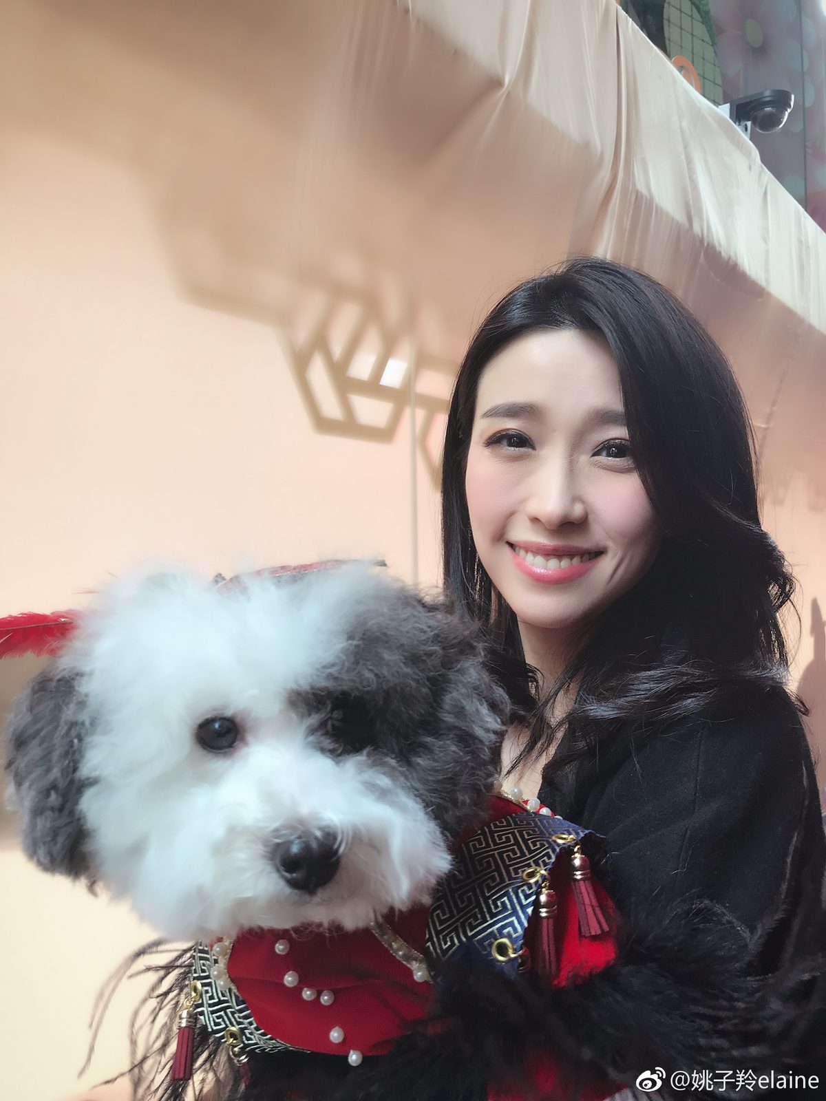 Elaine Yiu HD Images/Photo Gallery Download #1378932
