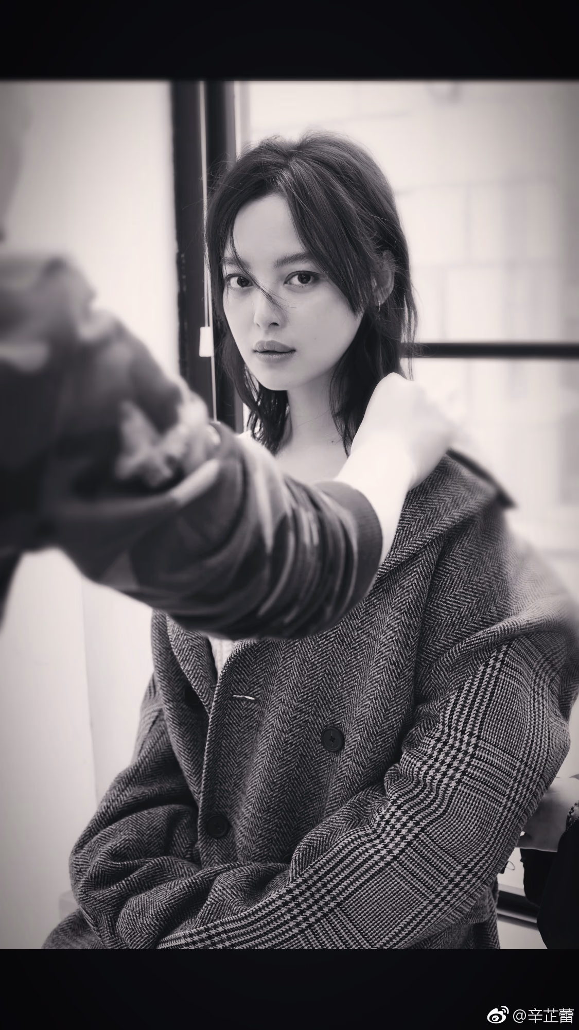 辛芷蕾 高清写真/照片下载 #3511278