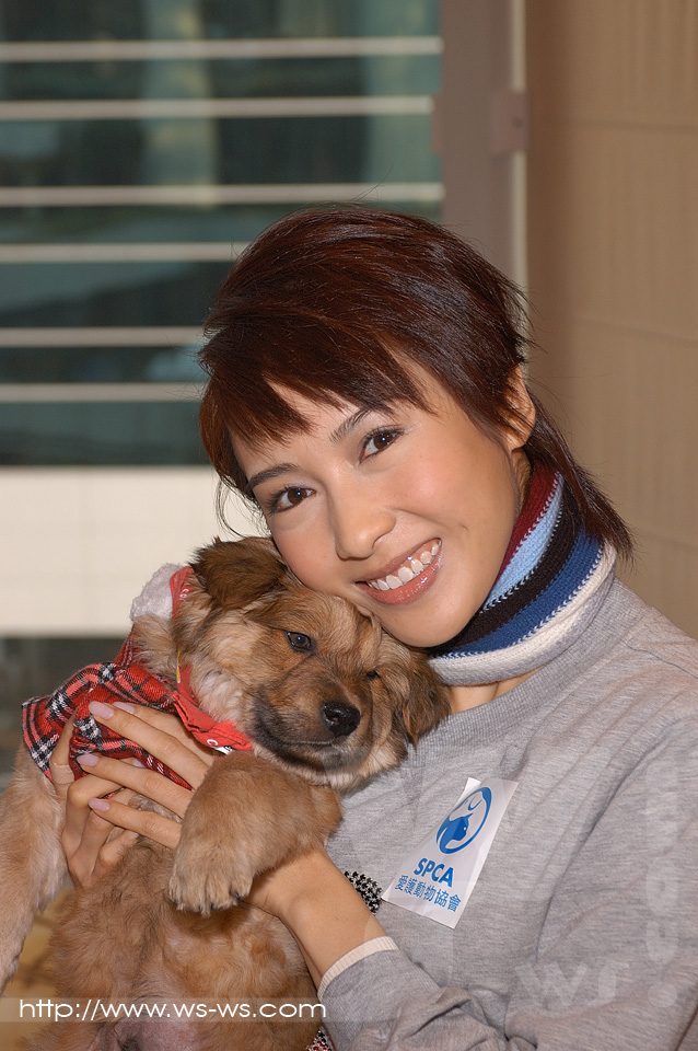 Gigi Lai HD Images/Photo Gallery Download #761601