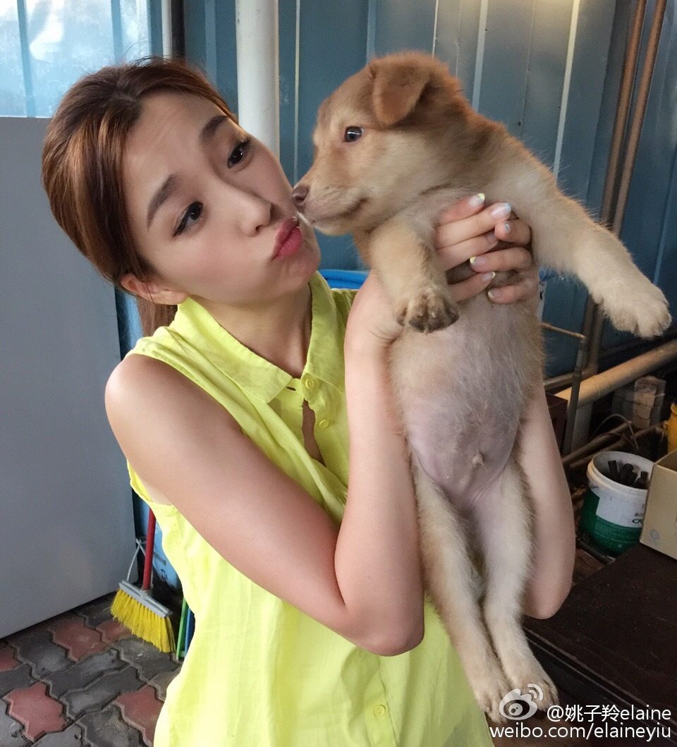 Elaine Yiu HD Images/Photo Gallery Download #1366210
