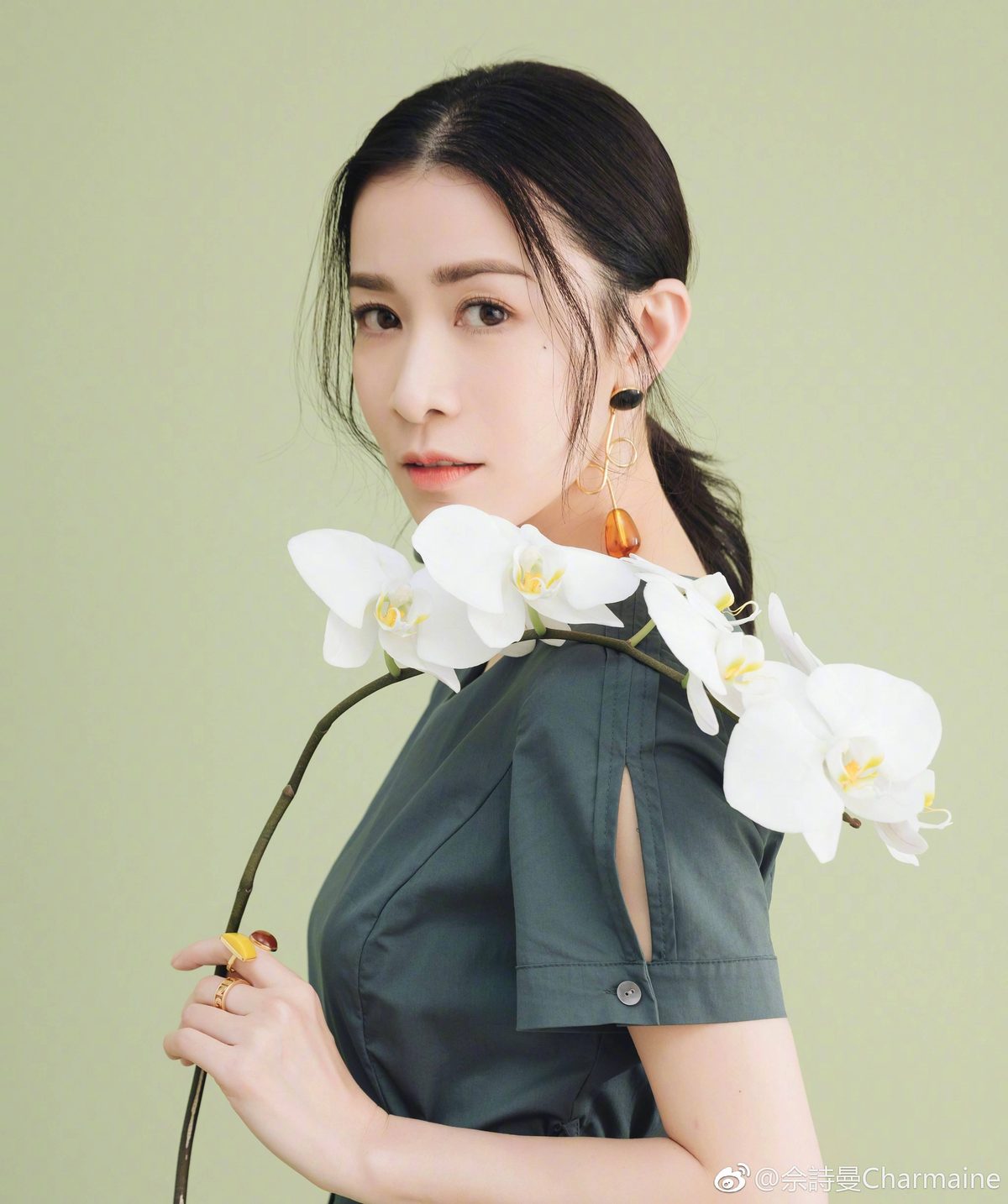 Charmaine Sheh HD Images/Photo Gallery Download #784062