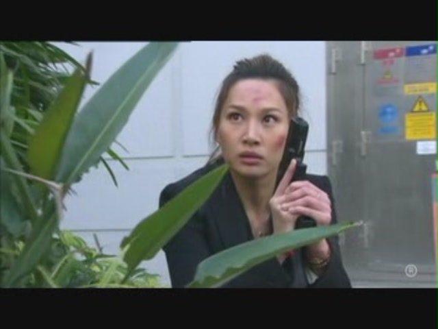 Kate Tsui HD Images/Photo Gallery Download #614160