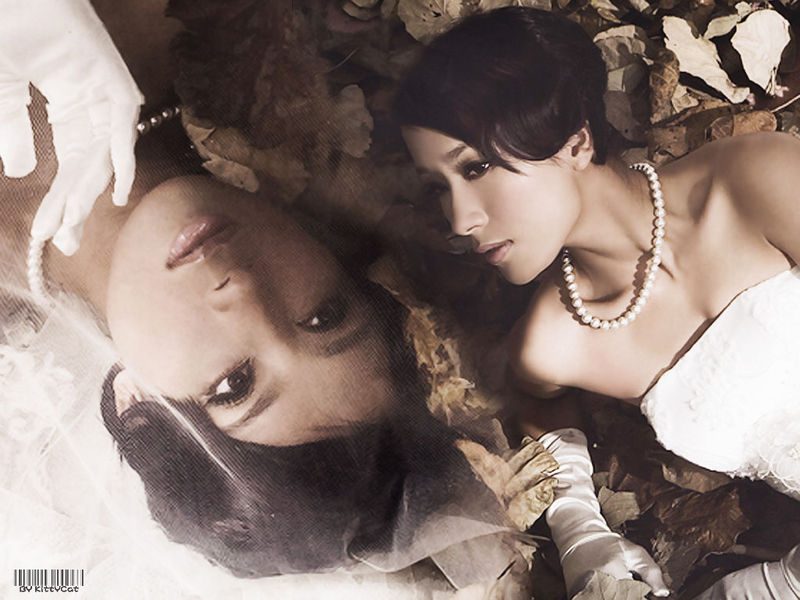 Tavia Yeung HD Images/Photo Gallery Download #1316813