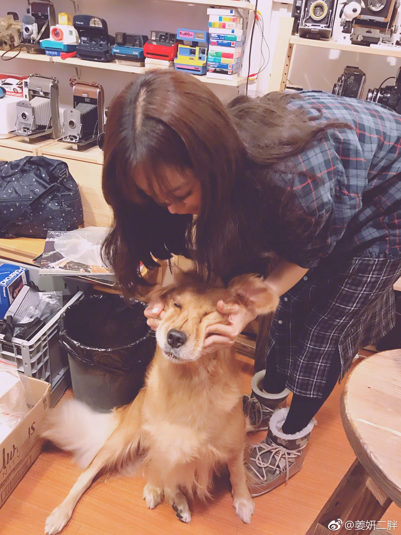 姜妍 高清写真/照片下载 #2168391